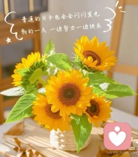 亲爱的自己：

我要好好爱你。

爱你的身体——这具陪我走过风雨的躯壳。爱你笑起来时眼角的细纹，爱你掌心被生活磨出的薄茧，爱你每一次有力的心跳。你值得被温柔对待，值得好好吃饭，安稳睡觉，值得在疲惫时停下休息。

爱你的灵魂——那个时而勇敢、时而怯懦，却从未放弃生长的内核。爱你的敏感，也爱你的倔强；爱你的光芒，也接纳你的阴影。

你不需要完美，只需要完整。你是自己终生的情人，最长情的陪伴。往后余生，我会站在自己这边，不背叛，不苛责，不抛弃。

请记得：这世上最重要的关系，是你与自己的关系。好好爱自己，才是终身浪漫的开始。