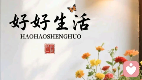 飞逝的梦