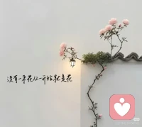 要学着像太阳一样，只是发出光和热

慢品人间烟火色，闲观万事岁月长

修心，遵道，炼术配图