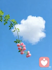 心里那些“应该”和“万一”，像两个苛刻的监工，一个催着你达标，不停的审判；一个吓你提防风险，不停的制造焦虑。

它们占据太多注意力带宽，细微美好自然进不来。

当“应该”又跳出来时，轻轻对自己说：“哦，我注意到‘焦虑’又来了。” 别跟它辩论，也别推开它，就看着它像朵云一样飘过。

在“当下”这个被允许不完美的缝隙里。
给这些“万一”和“应该”空一个座位，不消除，不阻抗，只是静静地看着它觉察它。配图