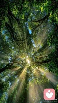 亲爱的自己：

生活不易，你已做得很好。在家庭与工作之间穿梭，在理想与现实间平衡，你像超人一样撑起自己的小宇宙。那些牵绊和纠缠，那些捆绑与拉扯，是负重前行的自己在红尘中的修行道场。

修心，让柔软处更柔软，坚定处更坚定；修行，在日常琐碎中活出庄重与温度；修性，在起伏中保持对自己的真诚。正心、正念、正行——不为圆满，只为在路上，每一步都踏实，每一天都尽力。

不苛求完美，只求继续前行。你已经闪闪发光了。配图