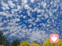 晨起冥想打坐🧘🏻‍♀️10min

让情绪就像一片一片的云朵一样

随它来随它去，我只是静静地看着它，感受内心的平静与不平静

它来随它来，它去随它去，起心动念的一瞬间，体会内心的跌宕起伏