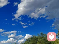杏仁核的反应速度比你的思考快得多。你还没看清它的模样，心跳就已经飙上去了——这就是它的工作方式。

要察觉自己的情绪，关键不是压制它，而是在警报响起的瞬间，给自己按下一个“暂停”：

盯住身体：心跳突然加速、胸口发紧、肩膀绷起来——这些是杏仁核送出的第一个信号。别急着分析，先注意到它。
给情绪贴上标签：在心里轻轻说一句“这是恐惧”或“这是愤怒”。光是命名这个动作，就能让你的前额叶皮层重新上线，从失控中夺回一点点主动权。

这一步不需要做到冷静。只需要做到“知道”。知道的那几秒钟，你就已经从情绪里抽身出半步了。配图