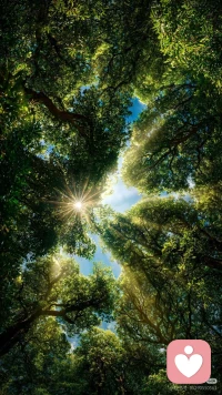 生活的难，往往不在大起大落，而在那根看不见的弹簧——被压久了忘了怎么弹，拉太满又收不回来。

真正活明白的，知道什么时候该让一步，什么时候该站出来。不是圆滑，是懂分寸——孩子闹脾气时能蹲下来听，伴侣压力大时接得住情绪，自己累了也能坦然说“今天我不行了”。

活得舒展的人，不硬撑，也不逃避。张弛有度，是在该硬的时候不软，该软的时候不硬。这才是真正的掌控力。配图