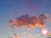 岁月无声碾过朝夕长短
抓不住流云，留不住过往

任凭流年静静漫过身旁
花开不由人，落瓣随风散场

人间清醒不过当下，暖一点，柔一点
允许自己停留在自己最自然的状态配图