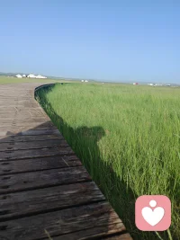 安于每日细微的温暖，不求波澜壮阔，只愿在日升月落间，能时时感知这些随手可触的温度。日子就像是无数个“刚刚好”的瞬间串联而成，在一粥一饭、一光一风里，慢慢沉淀出属于自己的节奏。

漫漫岁月中，都能如此刻一般，被这些细碎的光芒轻轻托住。哪怕世界喧闹，心中自有清风与晴空。☀️

日有小暖，岁有小安，清风徐徐，自洽从容！配图