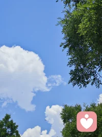 当生活的掌控感突然抽离，那个熟悉的“自我”便如空心人般失去了支点。

这时色“意义”格外残忍——因为意义本就不是恒定的答案，而是我们在行动中不断创造的过程。

内驱力并非先有意义才行动，而是在微小行动中重新发现“我还活着”的真实触感。不必急于找回整个世界的意义，先找回今天的一个小目标就好。

先从煮一杯认真的茶开始，从一次深呼吸开始，从看外面风起云舒开始——感知内在的自己，从这样具象的行动中，悄悄找回自己的意义。