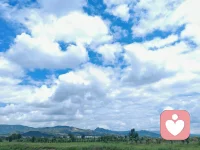 一日一月一山水，半醒半醉半浮生。

一花一叶一世界，半悟半痴半红尘。