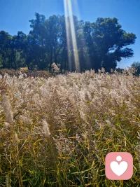 未曾妥善安放的童年，藏着许多未被看见的伤口。

不经意的场景、一句话、一段声响，都可能成为引爆情绪的开关。很多时候我们急于解决眼前的矛盾，却忽略了问题底层积压的感受。

真正要疗愈的，从来不是事件本身，而是那个被厚重情绪层层包裹、长久被困住的自己。
