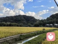 爱没走，只是沟通断了。停下争吵，说出感受，别再指责，给彼此一个重新靠近的机会。