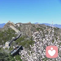 人格六岁前定型，后来多是重复；精神分析帮人告别过去，活在当下。