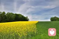 原生家庭影响深远，但人可重构认知，用新视角改写内在生命剧本。