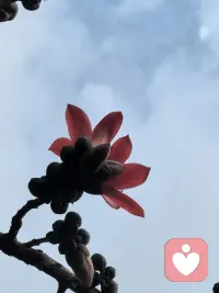 改变很难，是因为每一个现有行为背后都藏着我们的怕。配图