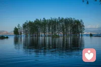 没有人能够伤害你，除非你允许。
掌控情绪与认知，才能掌控人生方向。配图