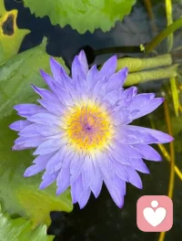 拖延常是逃避内在冲突，善始善终完成小事，能重建自我价值与掌控感。配图