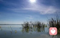 每个孩子都是父母天然的心理治疗师，亲子关系藏治愈力量。配图