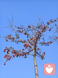 理解自身的阴暗面，是对付他人阴暗面最好的方法，接纳黑暗才见光明。配图