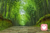 力量本自具足一直在，只是未动用，相信自己有应对的底气。配图