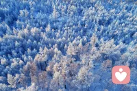 无边界的善良等于邀请入侵，守住底线，你的温柔才值得被珍惜。配图