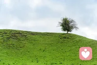 爱首先不是同一个特定人的关系，而是一种态度，一种性格倾向。