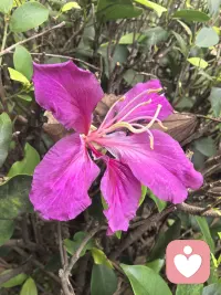 真正的成长发生在舒适区之外，那里藏着改变的勇气。配图