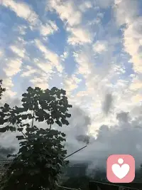 人生本就掺杂复杂滋味，不回避阴影，才能在完整体验里触到光亮。配图