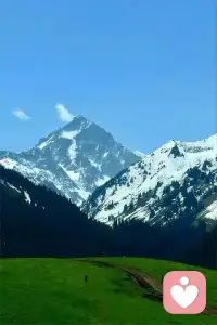 原生家庭欠你的，你要自己赢回来，而非困在受害者剧本里。配图