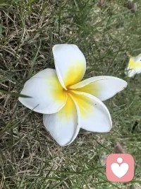 界限感是成熟的爱，懂得拒绝才是对关系的真正负责。配图