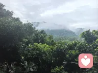 孤独不是寂寞，是心灵与自己深度对话的最佳时机。