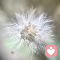 所有烦恼大半来自人际关系中对他人评价的过度在意，把评价权还给别人，把选择和感受权留给自己。配图