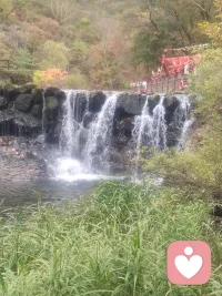 改變不可避免，成長卻可以選擇。
真正的幸福源于發現自己的優勢和美德，并在生活中充分發揮它們。