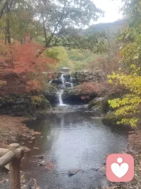 想法只是腦中的信號，不是你命運的預言。學會與念頭保持距離，是走向自由的開始。
在“想法—情緒—行為”的循環里，你永遠可以從任何一個節點介入，重建平衡。當你停止說“我沒辦法”，開始問“我可以試試什么”，改變就發生了。當你不再相信每一個自動浮現的念頭，你就為自己打開了心理的彈性空間。
