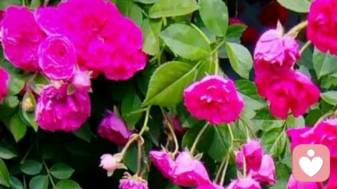 分手之后我们应该怎么办?