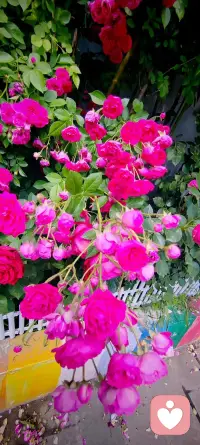 当一个人被完全接纳时，改变自然发生。
认知疗法说：改变叙述，就能改变体验。
不是事情本身伤人，是你对事情的解读在反复捶打你的伤口。