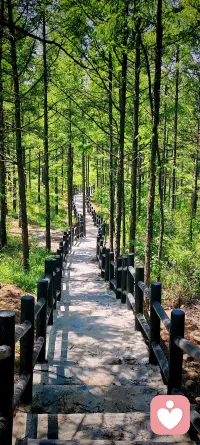 ‌过去的人和事，像飘散的云烟，无需再执念，各自安好便是晴天‌
‌感情来来去去皆随缘，得之我幸，失之我命，不强求，不纠缠‌