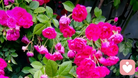 人生要分清这三件事儿.你会过的很轻松！