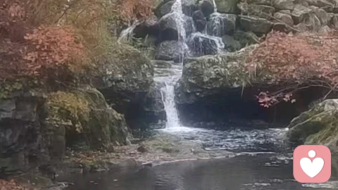 为什么会心烦意乱呢？