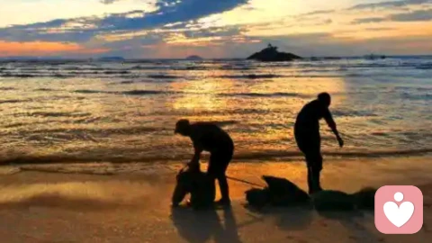 你不是失去的爱情，是失去了”被偏爱的”感觉。