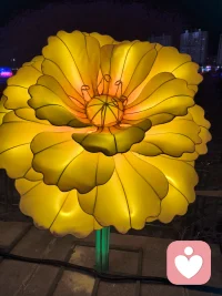 爱情的美好，恰恰在于两个独立灵魂的碰撞。他不必为你改变爱好，你不必为他压抑天性，你们可以带着各自的棱角相处，却因爱而愿意为彼此留出柔软的空间。当一个人在爱里能坦然做自己，不必伪装、不必迎合，这份松弛感才是爱情最长久的保鲜剂。