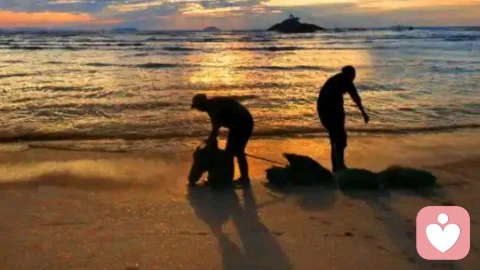 真正的放下,从来不是忘记。