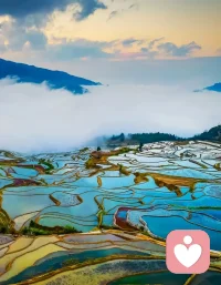 用宏大的世界稀释痛苦，

用微小的事物感受幸福。配图