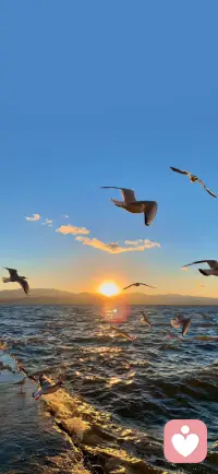 看到一条很治愈的评论：“像我这样破碎的人，爱我的人要一片一片捡起来爱我，实在太辛苦了”

底下回复：“爱你的人会美滋滋的边捡边喃喃道：这片是我的，那片也是我的。” ​​​

希望能治愈到陌生的你。配图