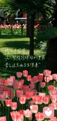 有些人，再见就是再也不见。我们总要学会在告别中释怀，把曾经的温暖放在心底，继续向前走。配图