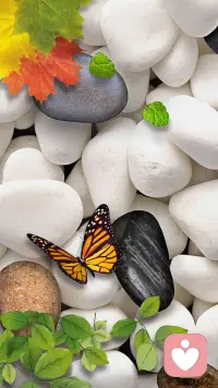 这一路走来，你可能会发现：真正留在你身边的，不是那个最会说话的人，也不是那个条件最好的人，而是那个在你需要的时候，从来没走的人。愿我们都能遇到，也配得上这样的温柔。配图