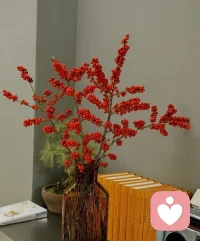 ?? 今夜，請允許自己卸下所有角色
安靜地做回那個需要被傾聽的小孩
如果白天的聲音太嘈雜
記得，這里永遠有一份不打斷的安靜
晚安，愿你在自己的故事里找到柔光