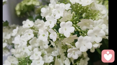 应对婚姻中午好分歧