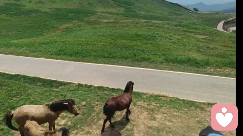 情感依赖，独处是爱自己的开始