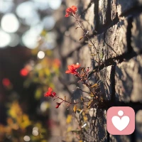 接受离别，学会离别，这一生，很短暂，终将离别。