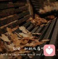 爱意东升西落，浪漫至死不渝，唯独我们，没有以后。配图