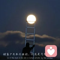 别慌，月亮也在大海某处迷茫。配图